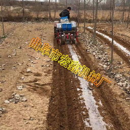 紅星區農田革新 多功能花生覆膜機引領高效種植新時代