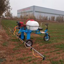 高效農業新助力 自走殺蟲噴藥機在高桿玉米作業中的革命性應用